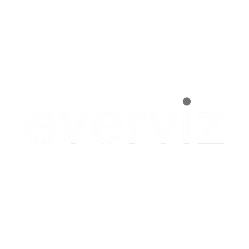 everviz-white